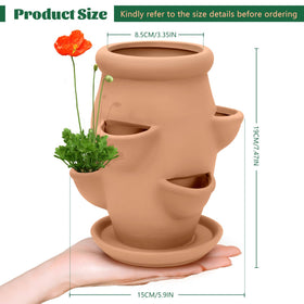 Generic vertical multi-pocket planter assembly demonstrates efficient space use for strawberries and succulents