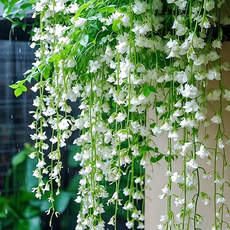 Generic Weeping Jasmine seeds bloom attracting bees and butterflies in a garden