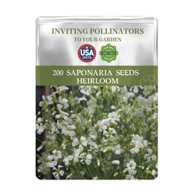 Generic White Common Soapwort Seeds Pack flower blooms offer vibrant petals for bright garden borders