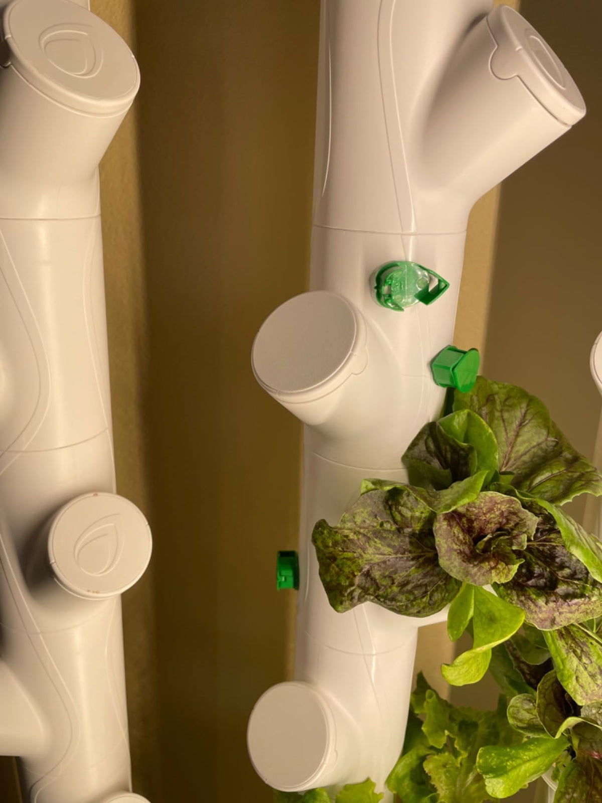 Generic 3D-printed cap durable and long-lasting in hydroponics.