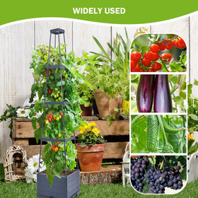 Bottom water reservoir keeps tomato roots moist for days between fills