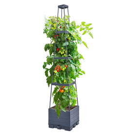 GENMOUS 4 Tiered Tomato Planter with Box Trellis on patio maximizes vertical gardening