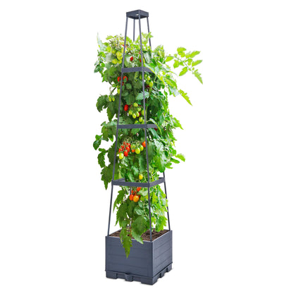 GENMOUS 4 Tiered Tomato Planter with Box Trellis on patio maximizes vertical gardening
