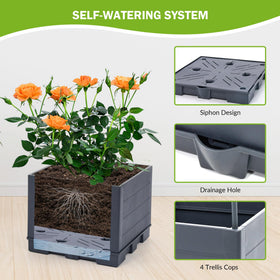Self-watering system balances hydration for healthy growth and fewer waterings