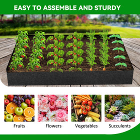 GENMOUS Climbing plants using the 65x50 inch space