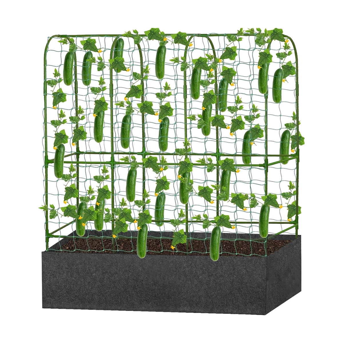 GENMOUS Garden Trellis overview with sturdy metal frame for outdoor climbing plants