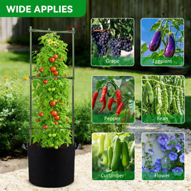 GENMOUS height-adjustable cages allow scalable support as plants grow.