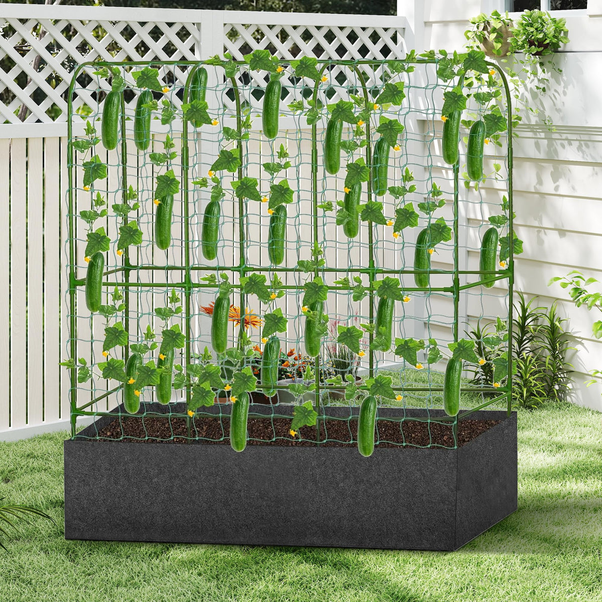 GENMOUS Outdoor garden setup in sunlight with climbers