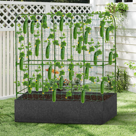 GENMOUS Outdoor garden setup in sunlight with climbers
