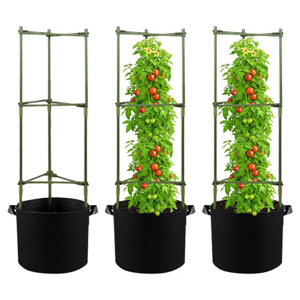 GENMOUS tomato cages with 48-inch height for sturdy vertical growth.