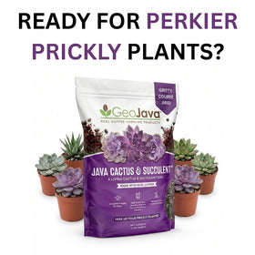 GeoJava ready-to-use formula simplifies repotting and propagation tasks