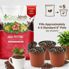 Ready-to-use GeoJava soil prepared for easy repotting
