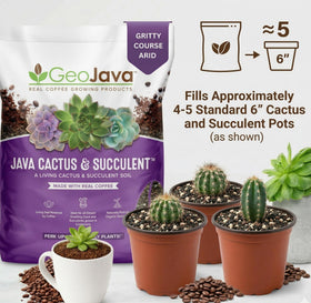 GeoJava odorless, naturally sourced ingredients provide a clean, eco-minded mix