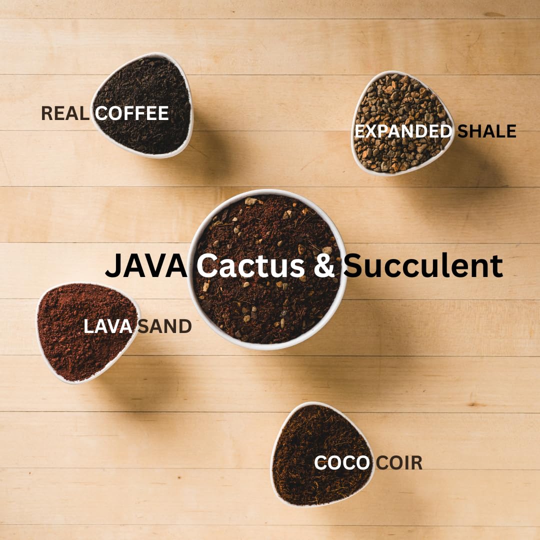GeoJava texture supports strong roots and stable soil structure for desert plants