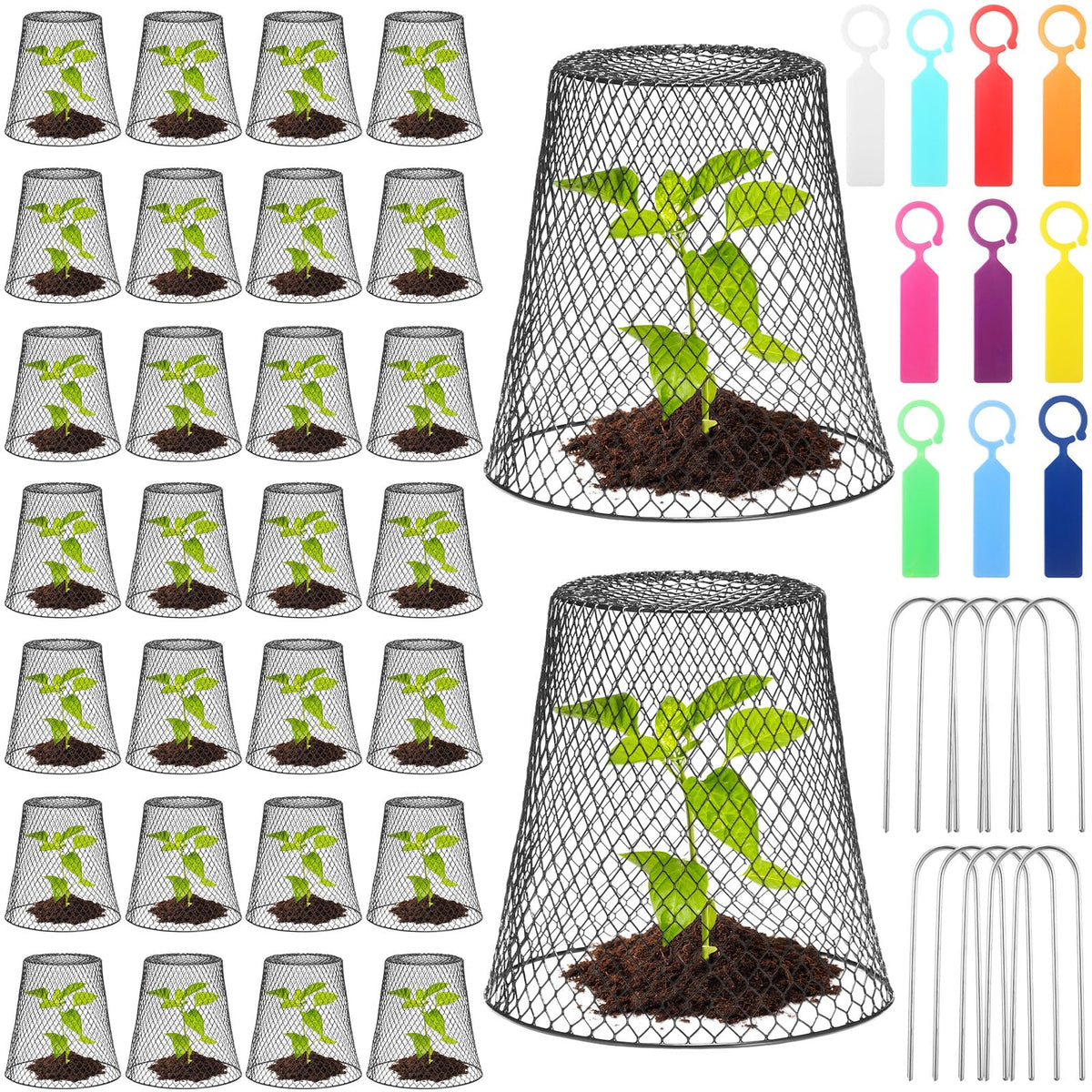 Geosar chicken-wire cloche close-up in black protecting seedlings
