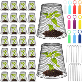 Geosar chicken-wire cloche close-up in black protecting seedlings