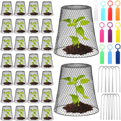 Geosar chicken-wire cloche close-up in black protecting seedlings