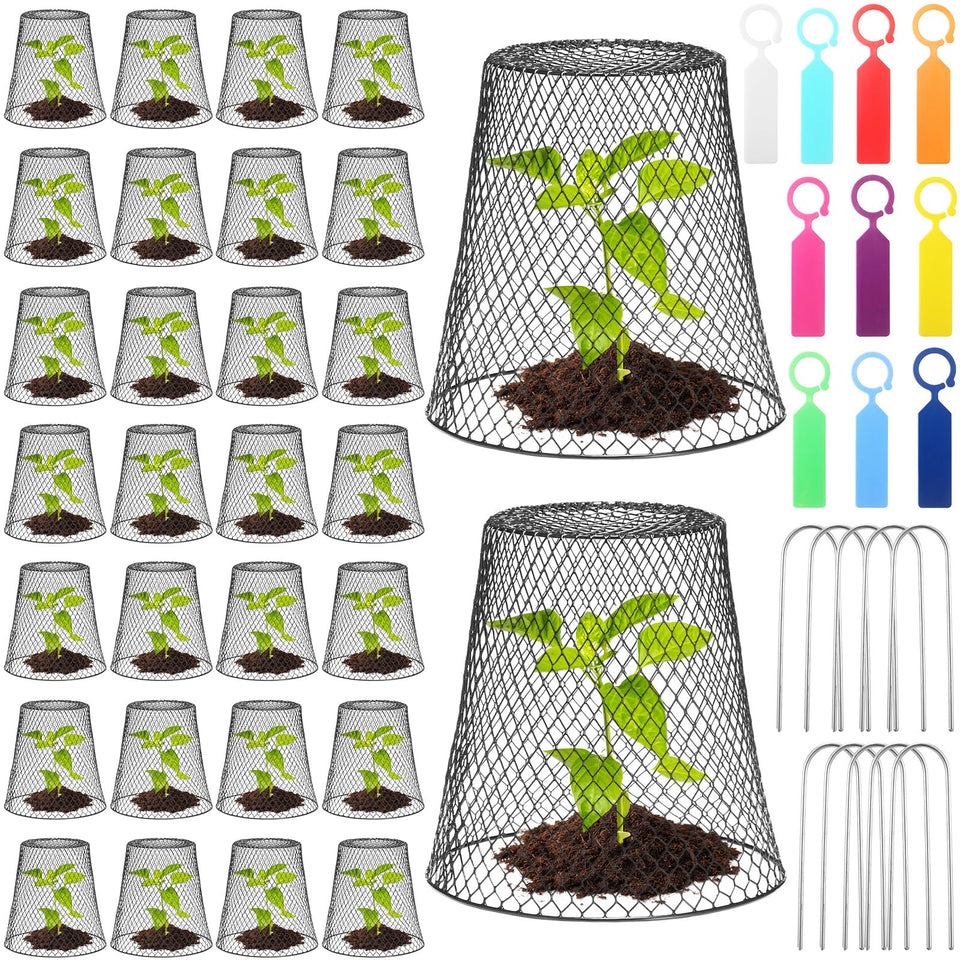 Geosar chicken-wire cloche close-up in black protecting seedlings