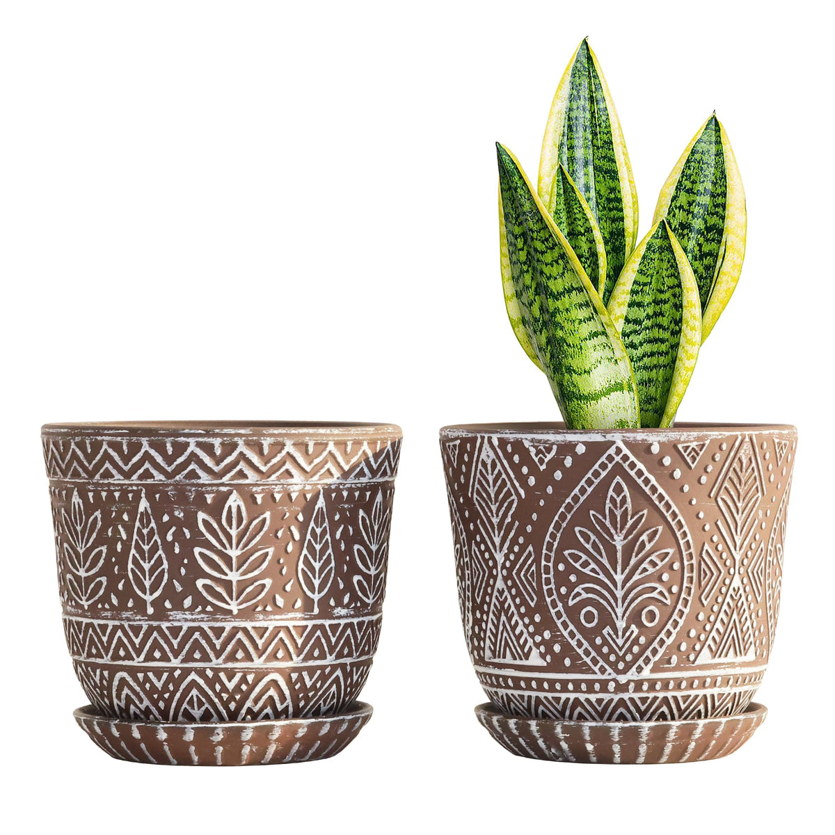 Gepege 6-inch ceramic planter with drainage holes and saucer for healthy indoor growth
