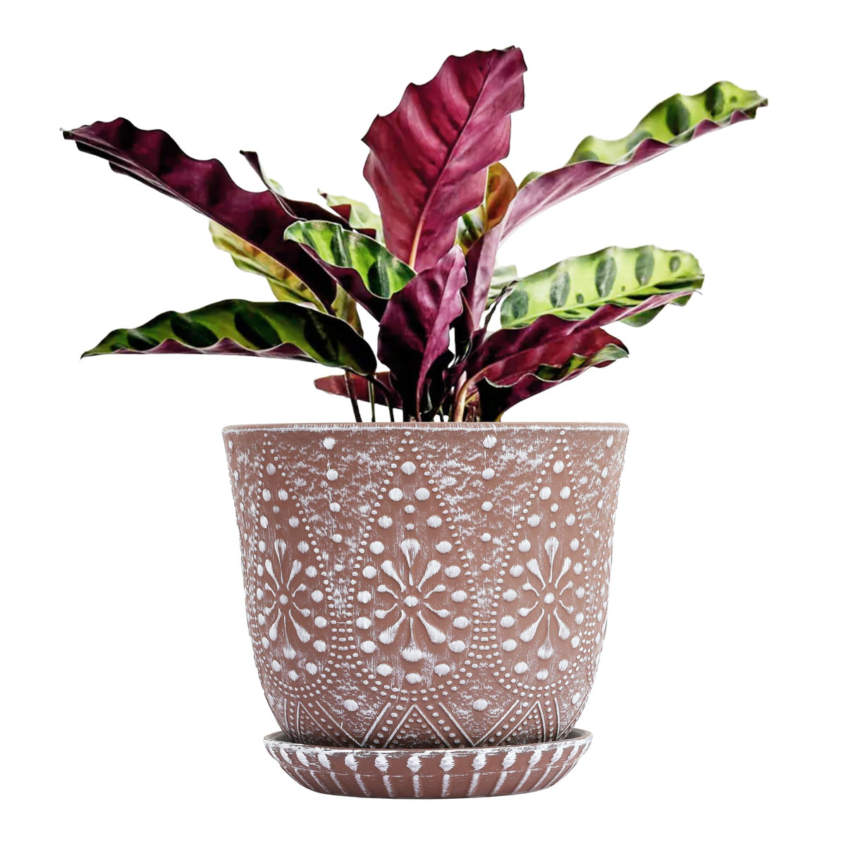 Gepege 8-inch ceramic plant pot with drainage holes for healthy watering.