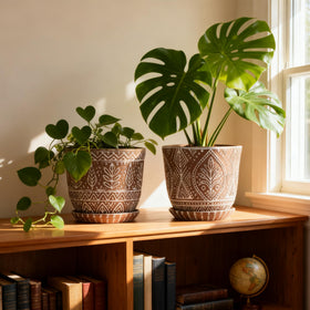 Gepege cactus planter with drainage for healthy growth