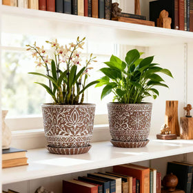 Gepege ceramic planter for succulents highlighting compact design