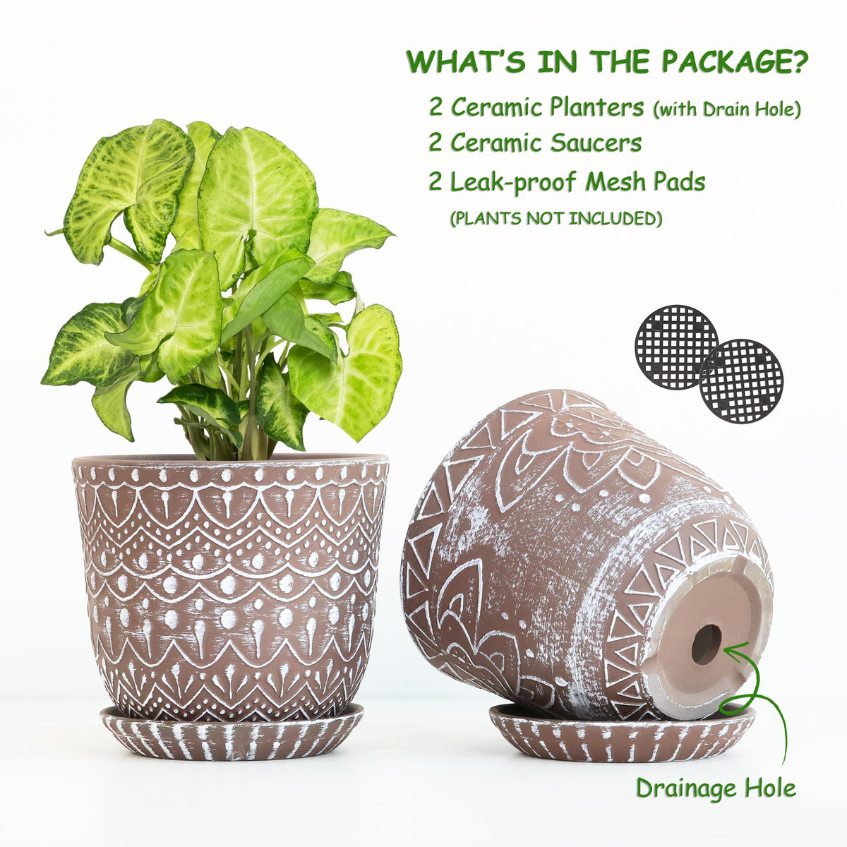 Gepege glazed-finish ceramic planter showcases a clean, modern look