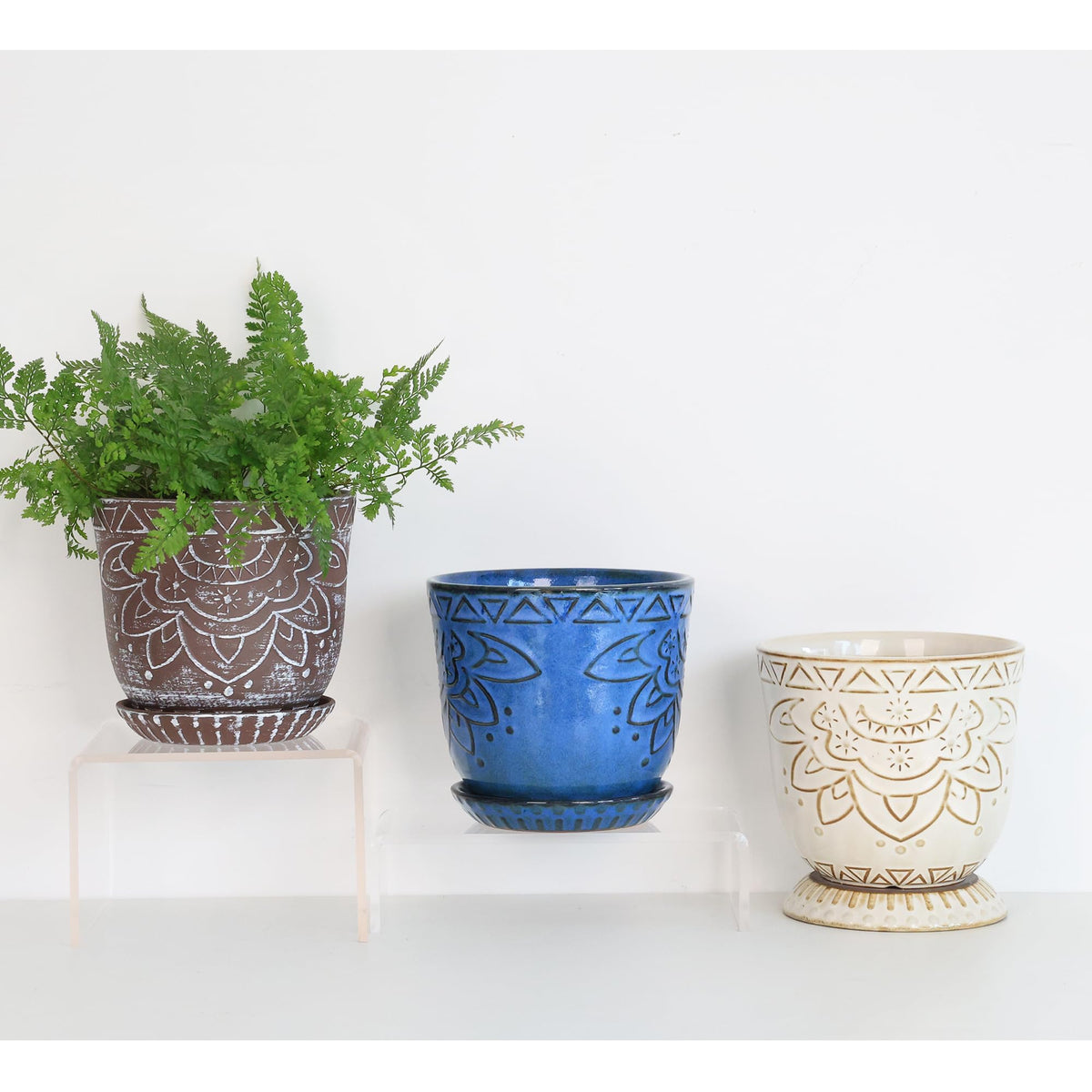 Gepege planter featuring a succulent display for compact spaces