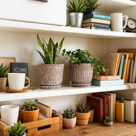 Gepege planter on a window sill ideal for bright succulents
