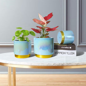 Gepege 5-inch pot featuring rainbow-pearl glaze for windowsill display.