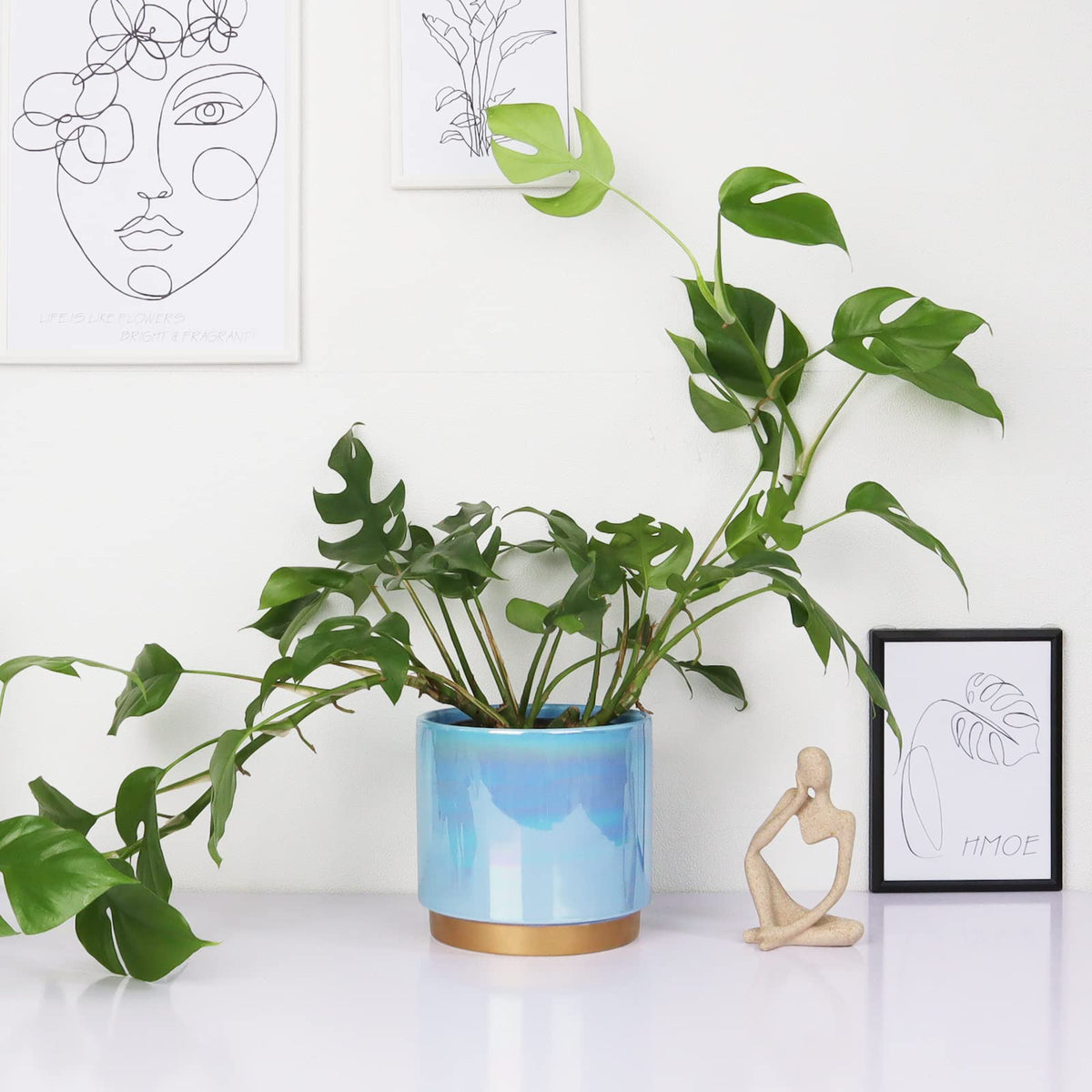 Gepege ceramic pot set on tabletop with succulents.