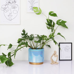 Gepege ceramic pot set on tabletop with succulents.