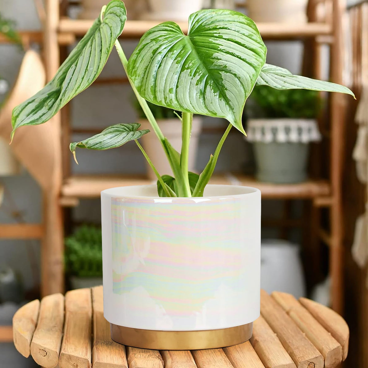 Gepege gift-ready ceramic pot suitable for plant lovers