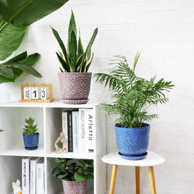 Gepege plant pot makes a thoughtful gift for plant lovers.