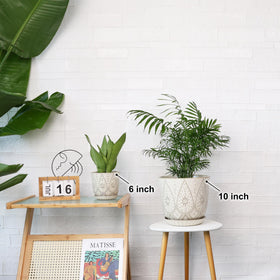 Gepege indoor-outdoor plant pot suitable for tables, windowsills, or floors.