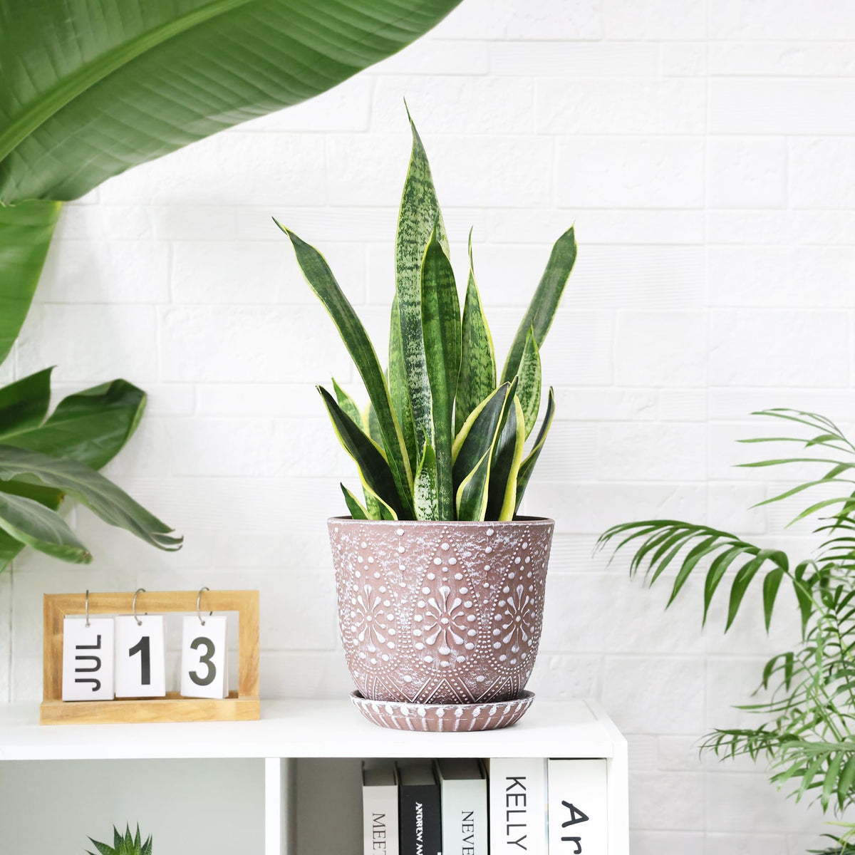 Gepege indoor planter displayed on a windowsill with greenery.