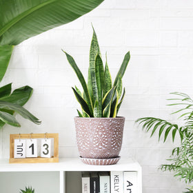 Gepege indoor planter displayed on a windowsill with greenery.