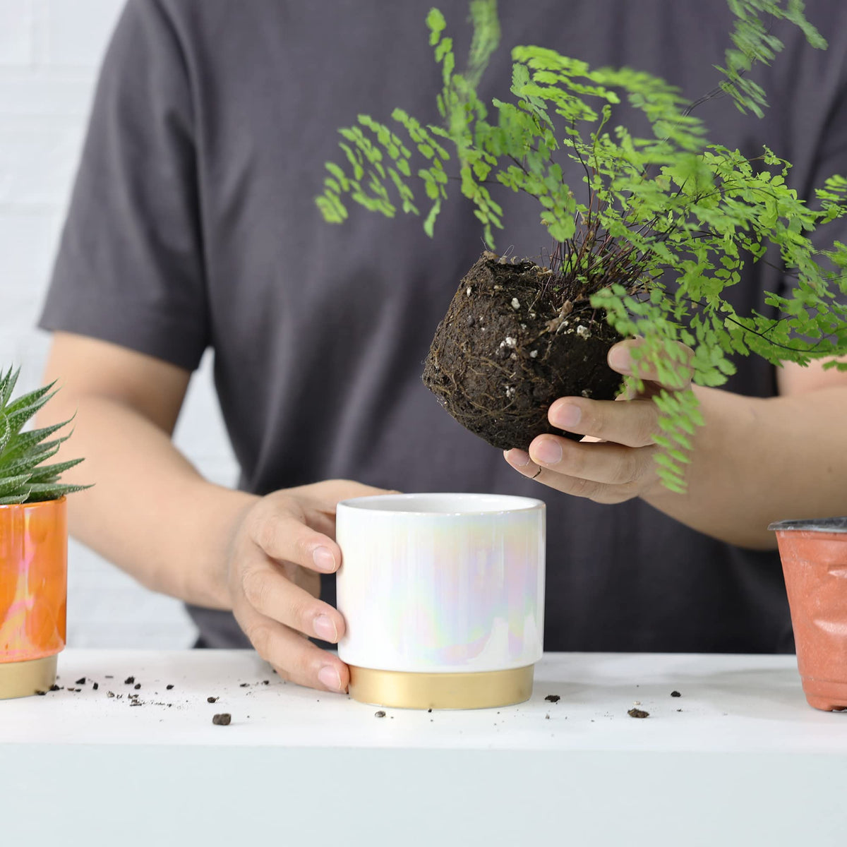 Gepege rainbow pots help create inviting desk or living room corners.