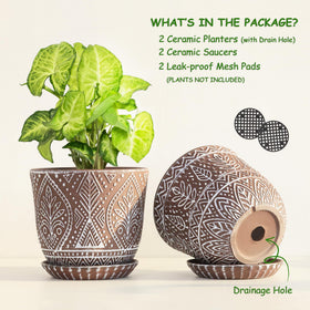 Gepege indoor succulent planter for small plants