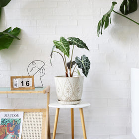 Gepege orchid-succulent-cactus friendly pot for a variety of plants.