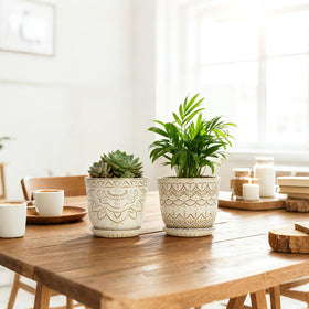 Gepege packaging includes two planters and saucers for easy gifting.