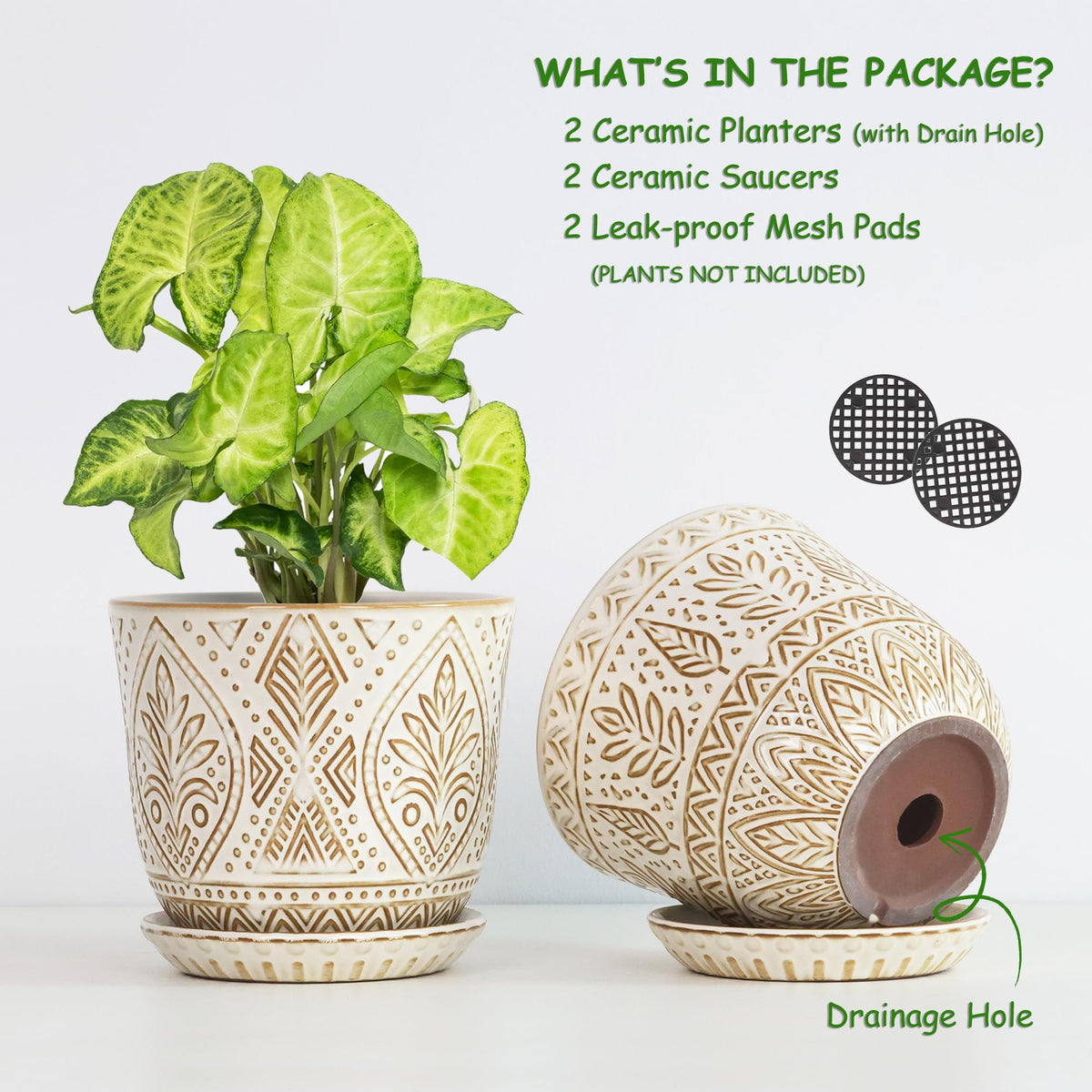 Gepege planter with matching saucer on a windowsill for bright, thriving greenery.