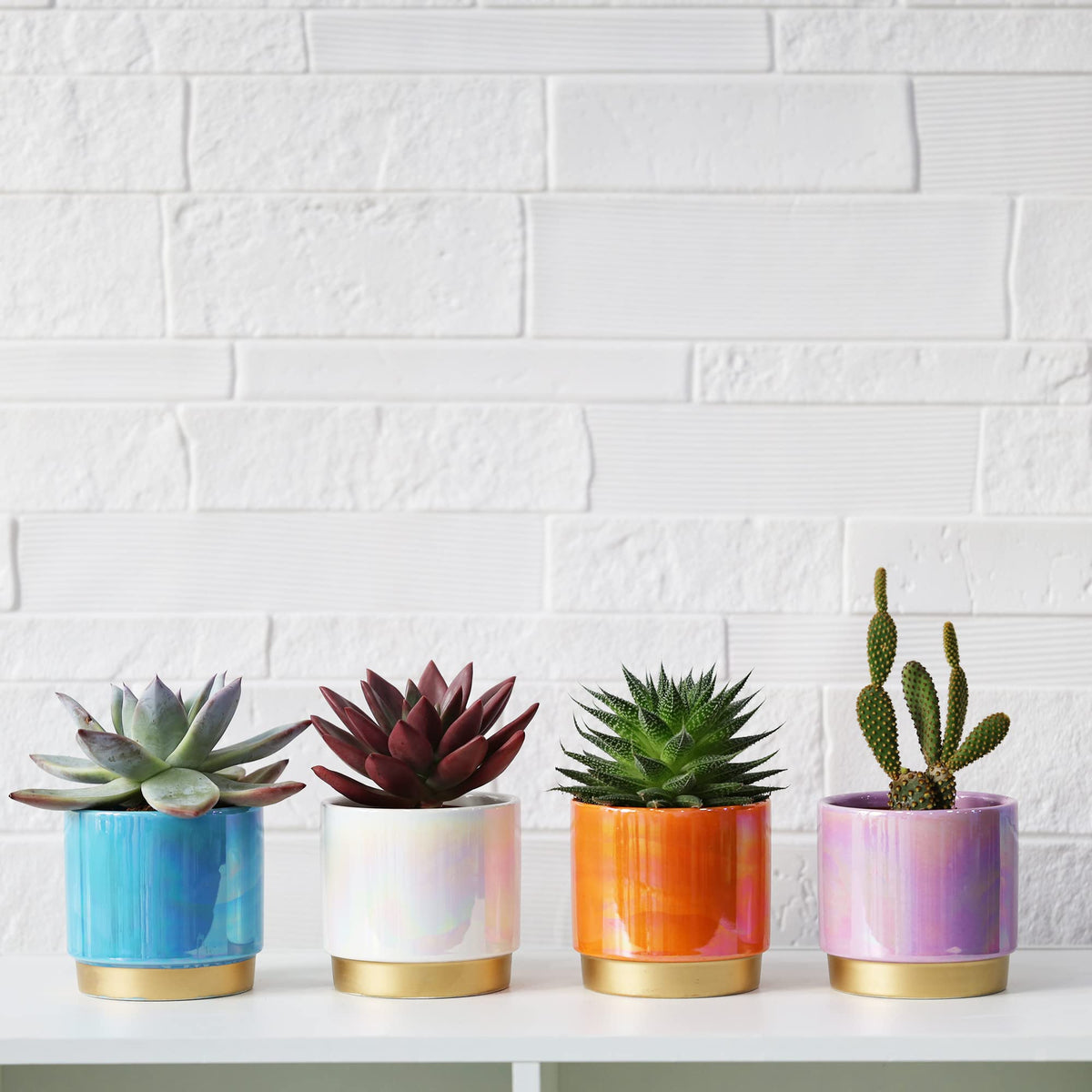 Gepege pots set includes mesh pads and rubber stoppers for easy setup.
