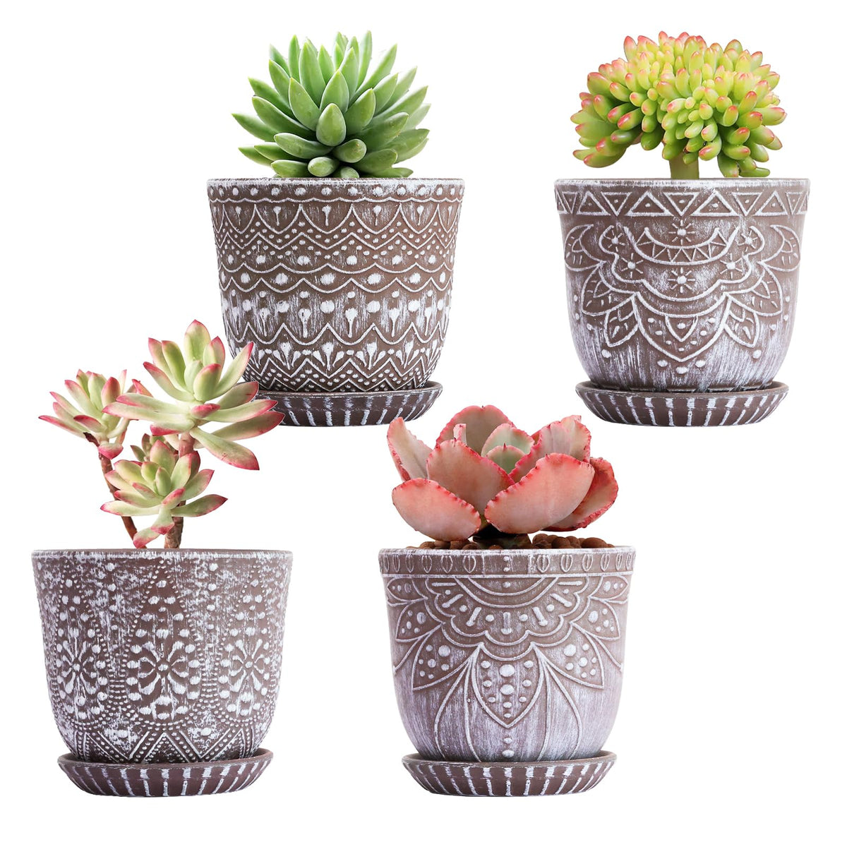 Gepege succulent pot with drainage holes supports healthy root growth.