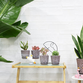 Gepege ceramic succulent pots add modern decor to any room.