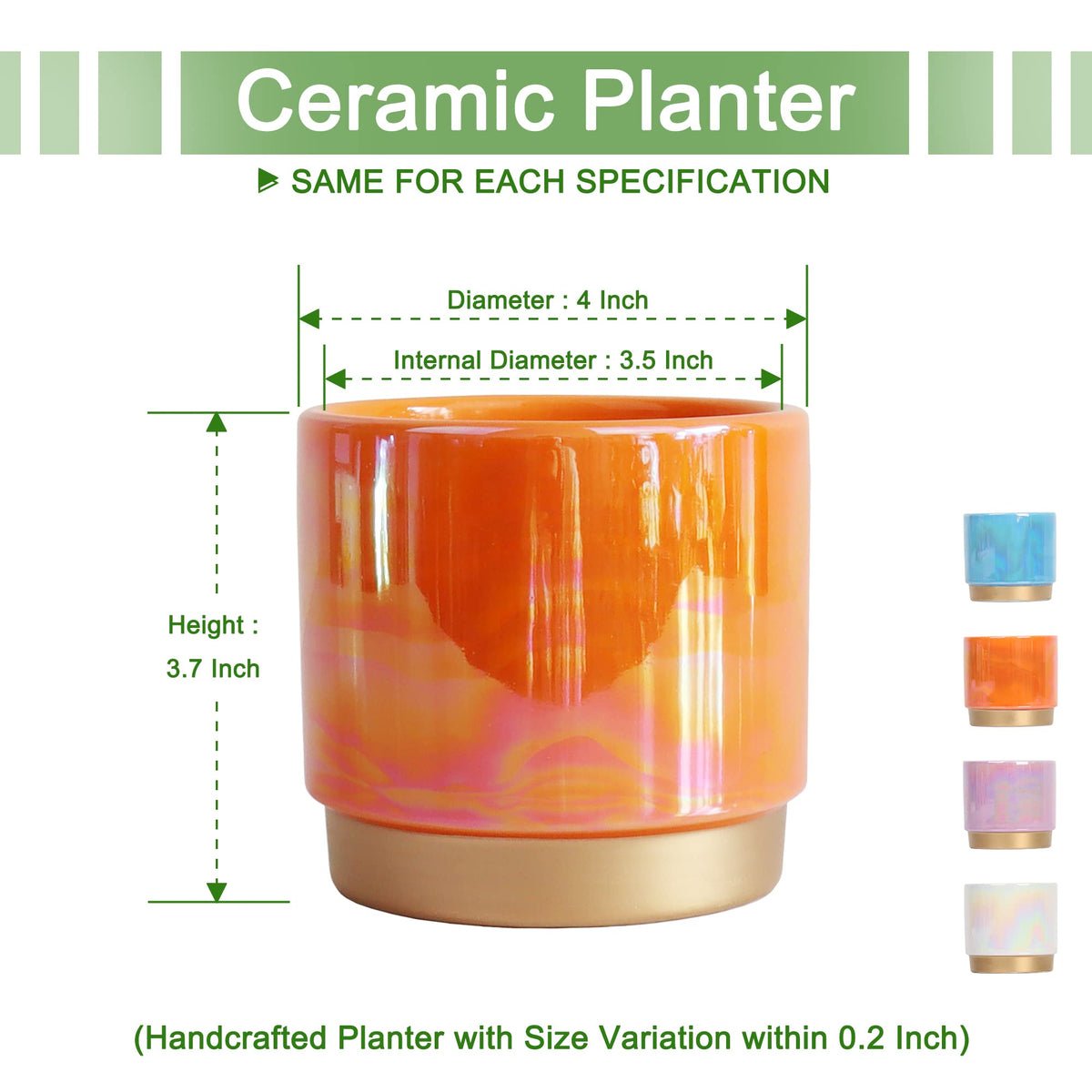 Gepege succulent pots with drainage holes promote healthy watering and root airflow.
