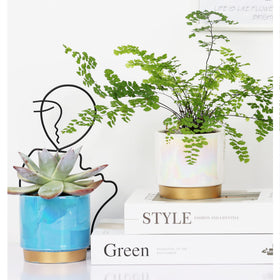 Gepege gift-ready planters are perfect for birthdays and housewarmings.