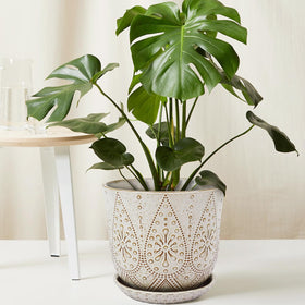 Gepege table-top display pot to brighten living spaces.
