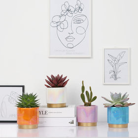 Gepege window-sill decor pots invite small plants to brighten spaces.