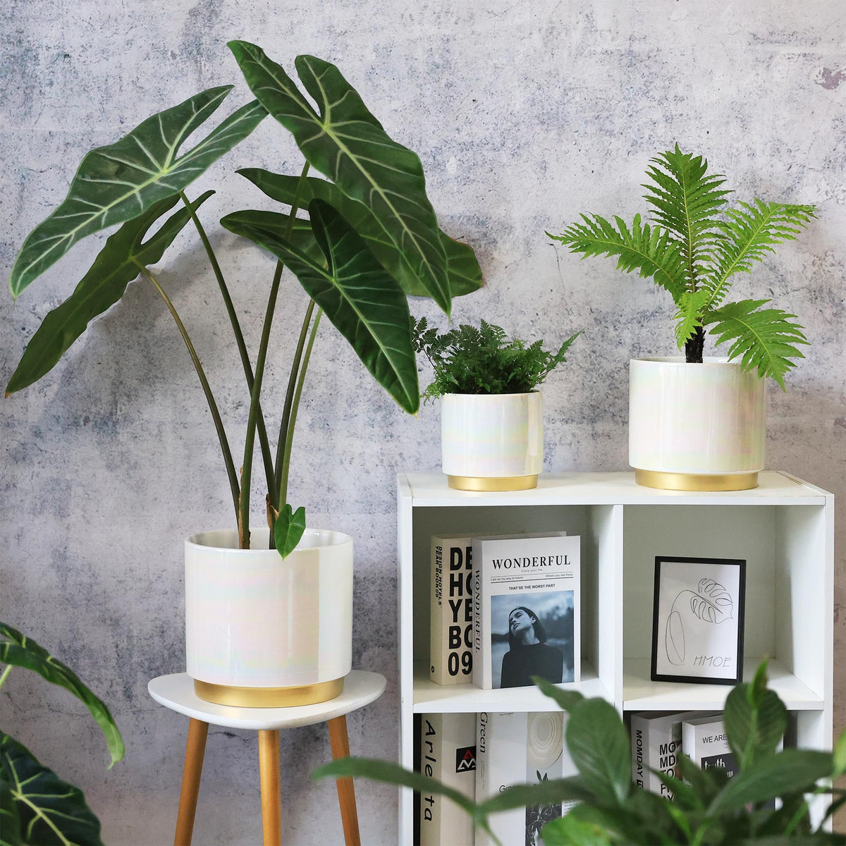 Gepege Windowsill decor pot on a bright kitchen ledge